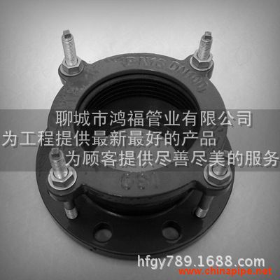 鑄鐵伸縮甲管